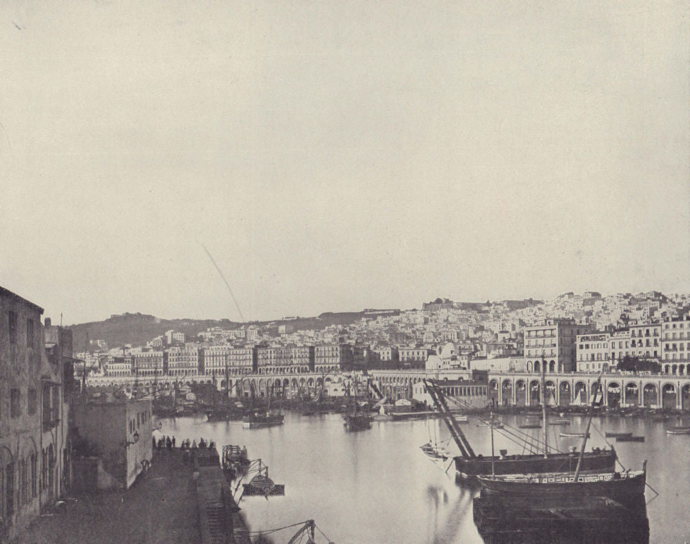 The Port of Algiers. Algeria. STODDARD 1895 old antique vintage print picture